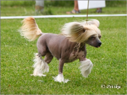 Tapi-Tapi My_Little_Pony_5